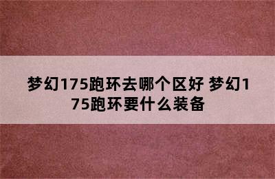 梦幻175跑环去哪个区好 梦幻175跑环要什么装备